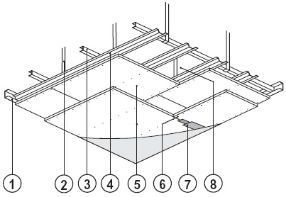 Primärregel